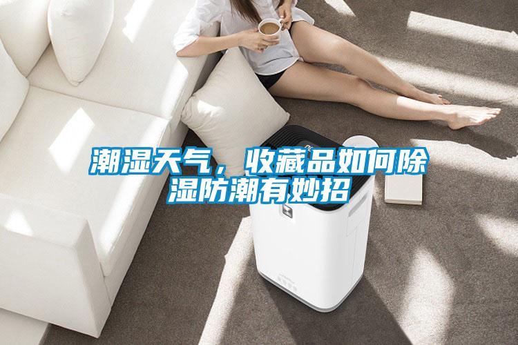 潮濕天氣，收藏品如何除濕防潮有妙招