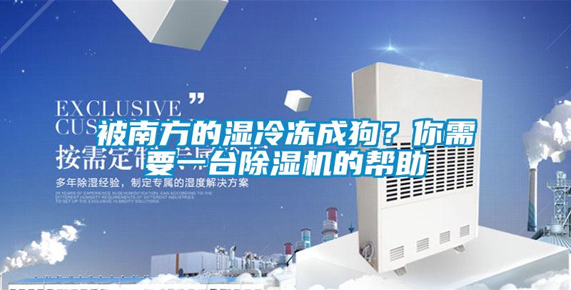 被南方的濕冷凍成狗？你需要一臺(tái)除濕機(jī)的幫助