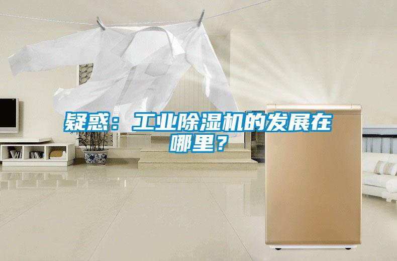疑惑：工業(yè)除濕機(jī)的發(fā)展在哪里？