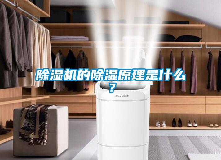 除濕機(jī)的除濕原理是什么？
