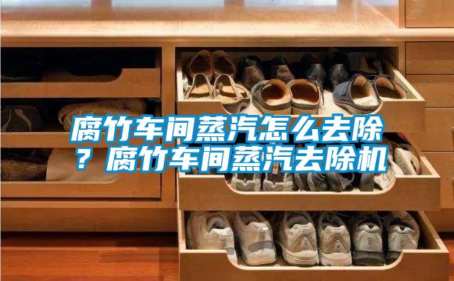 腐竹車間蒸汽怎么去除？腐竹車間蒸汽去除機(jī)