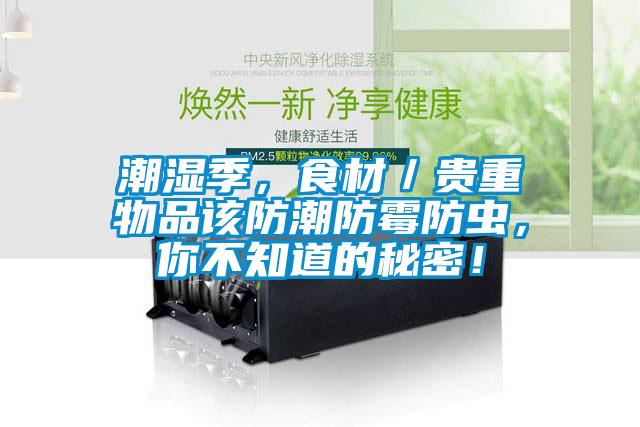 潮濕季，食材／貴重物品該防潮防霉防蟲，你不知道的秘密！