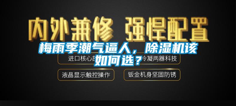 梅雨季潮氣逼人，除濕機該如何選？