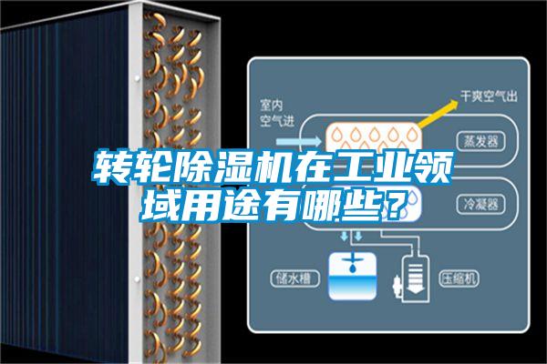 轉(zhuǎn)輪除濕機在工業(yè)領域用途有哪些？