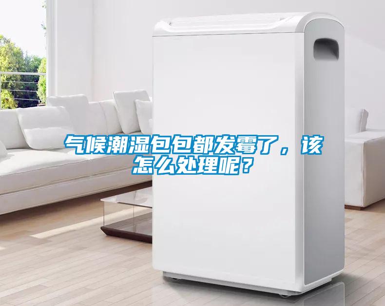 氣候潮濕包包都發(fā)霉了，該怎么處理呢？