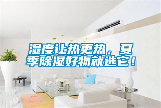濕度讓熱更熱，夏季除濕好物就選它！