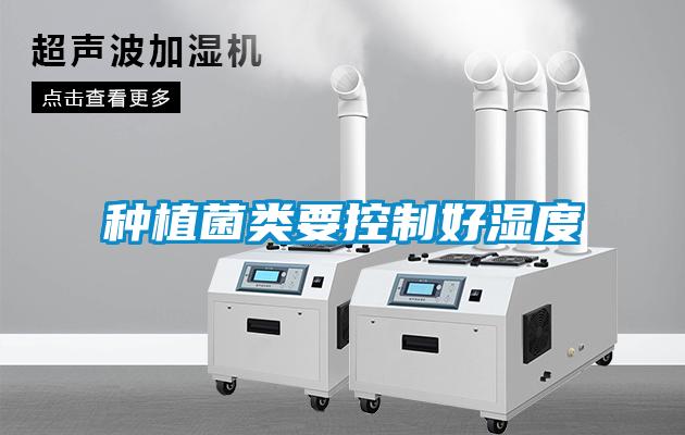 種植菌類(lèi)要控制好濕度
