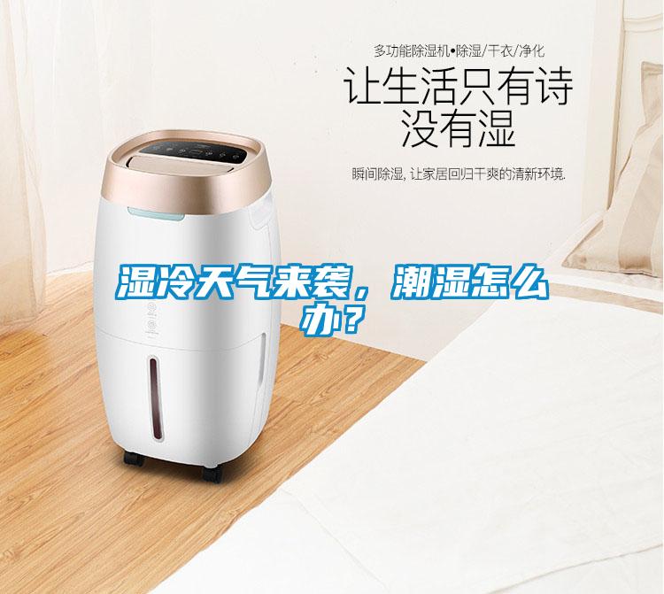 濕冷天氣來(lái)襲，潮濕怎么辦？