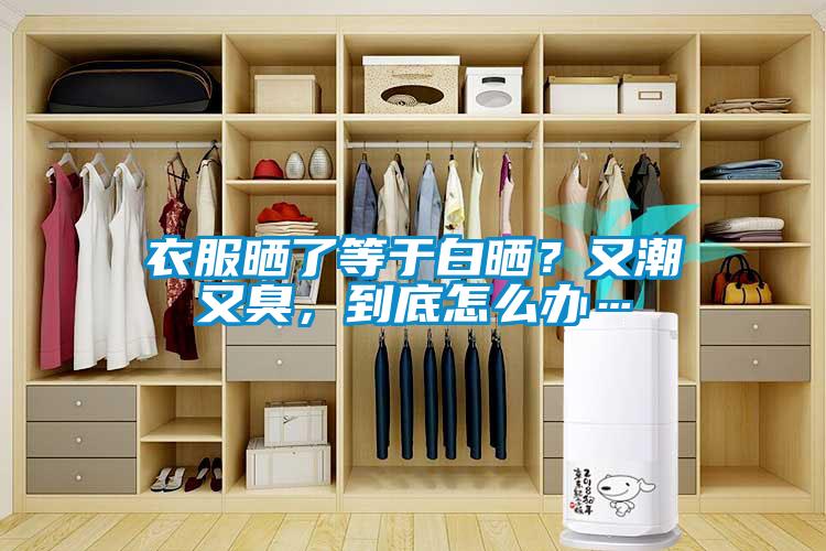 衣服曬了等于白曬？又潮又臭，到底怎么辦…