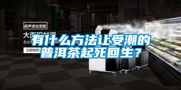 有什么方法讓受潮的普洱茶起死回生？
