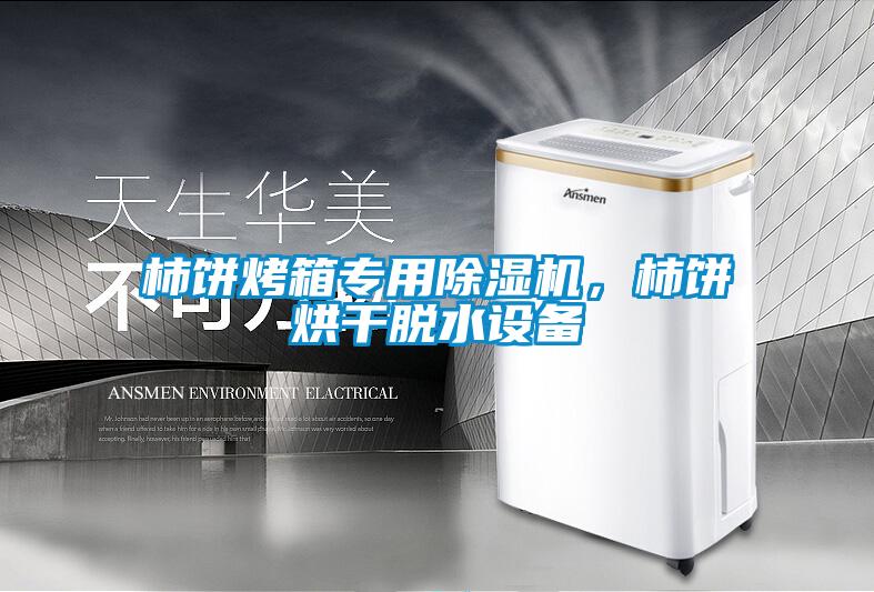 柿餅烤箱專用除濕機，柿餅烘干脫水設備