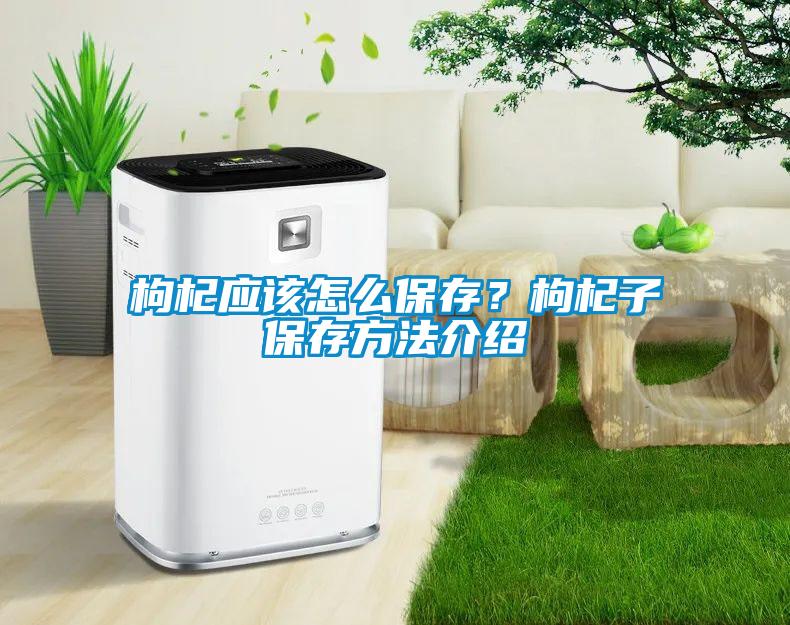 枸杞應(yīng)該怎么保存？枸杞子保存方法介紹