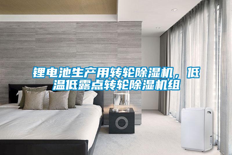 鋰電池生產(chǎn)用轉(zhuǎn)輪除濕機(jī)，低溫低露點(diǎn)轉(zhuǎn)輪除濕機(jī)組