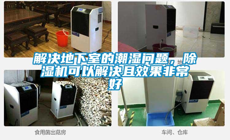 解決地下室的潮濕問題，除濕機(jī)可以解決且效果非常好