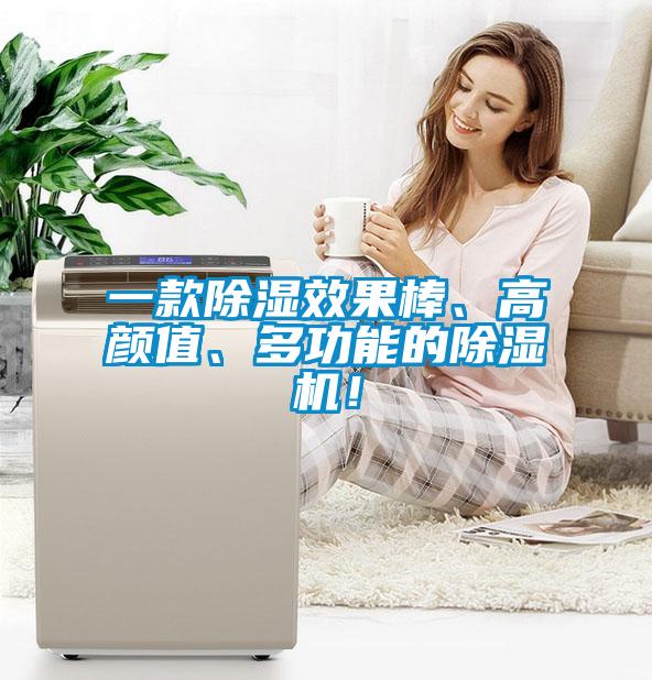 一款除濕效果棒、高顏值、多功能的除濕機！