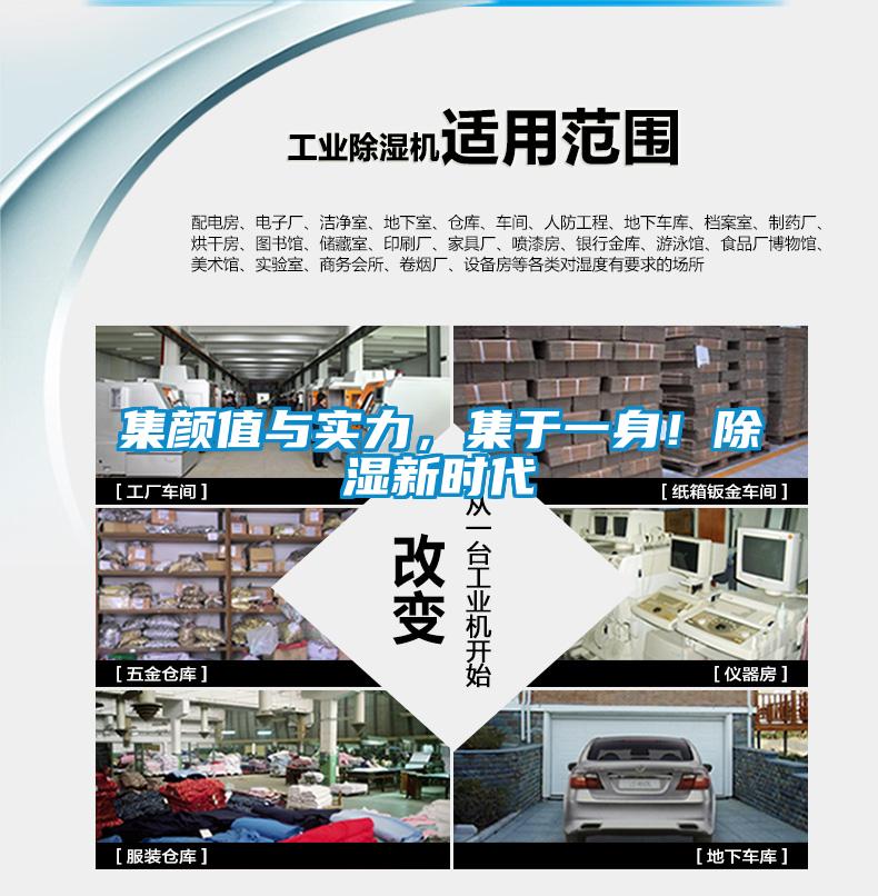 集顏值與實力，集于一身！除濕新時代