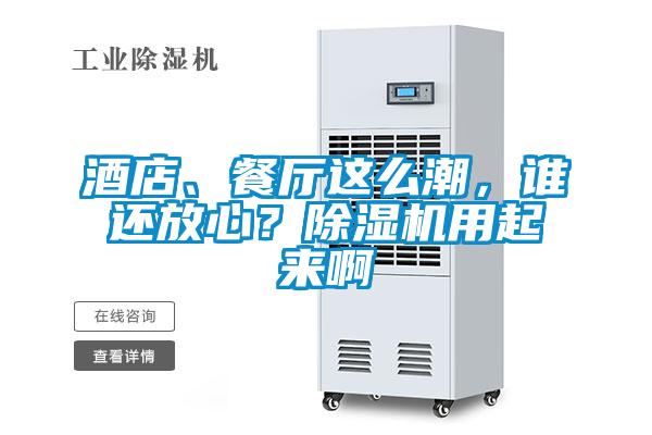 酒店、餐廳這么潮，誰還放心？除濕機(jī)用起來啊