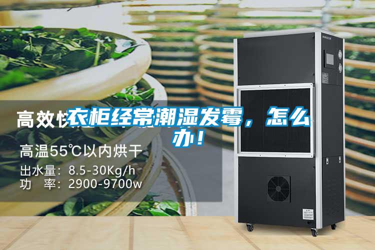 衣柜經(jīng)常潮濕發(fā)霉，怎么辦！