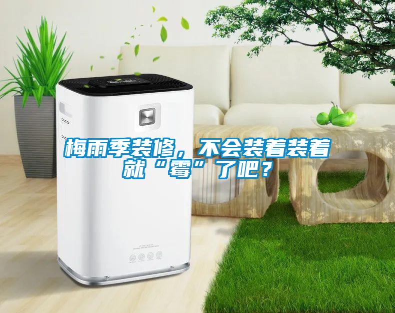 梅雨季裝修，不會(huì)裝著裝著就“霉”了吧？