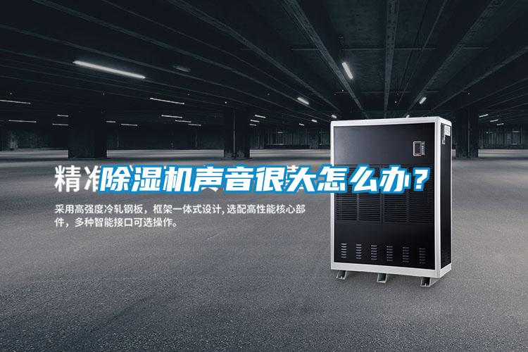 除濕機聲音很大怎么辦？