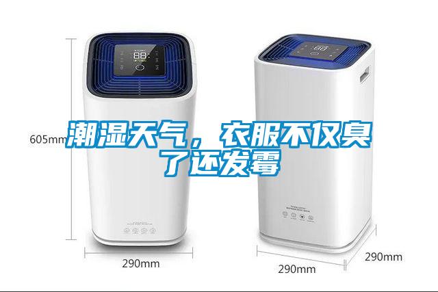 潮濕天氣，衣服不僅臭了還發(fā)霉