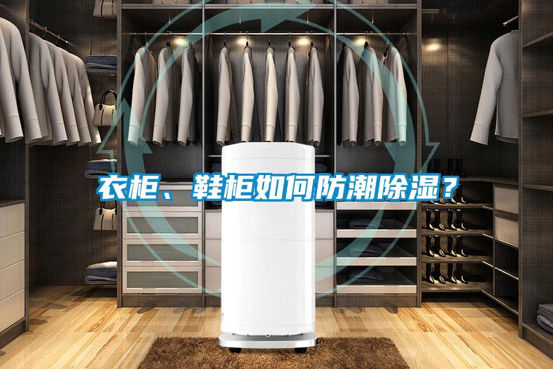 衣柜、鞋柜如何防潮除濕？