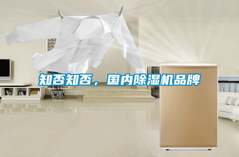 知否知否，國(guó)內(nèi)除濕機(jī)品牌