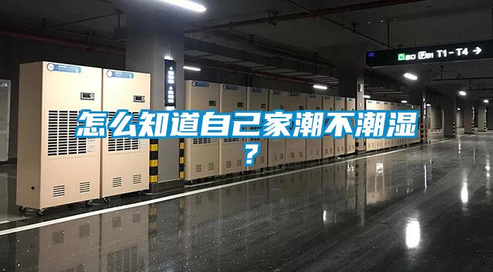 怎么知道自己家潮不潮濕？