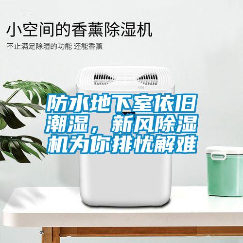 防水地下室依舊潮濕，新風除濕機為你排憂解難