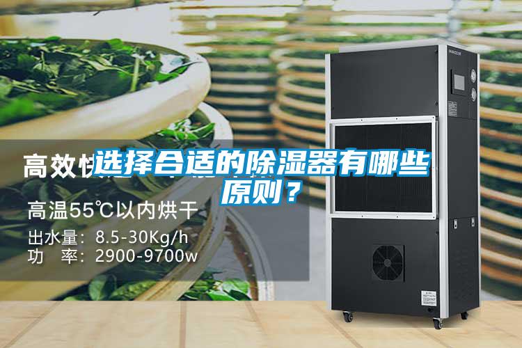 選擇合適的除濕器有哪些原則？
