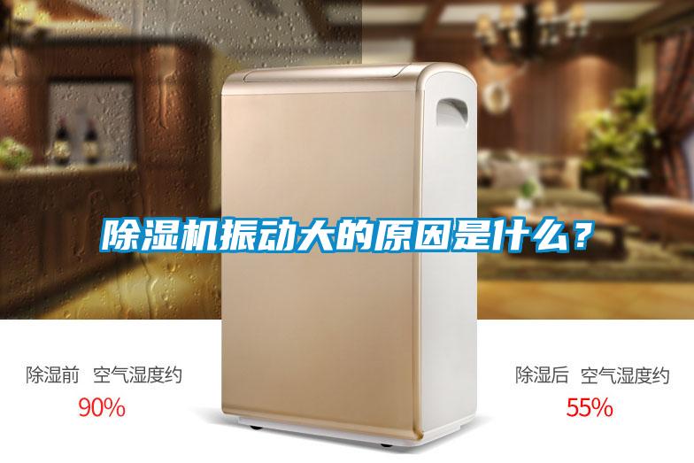 除濕機(jī)振動(dòng)大的原因是什么？