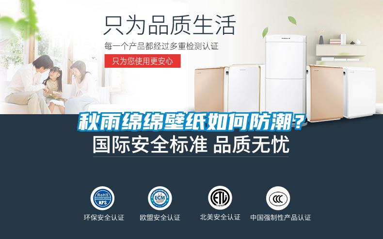 秋雨綿綿壁紙如何防潮？