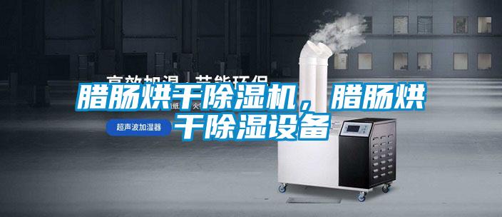臘腸烘干除濕機(jī)，臘腸烘干除濕設(shè)備