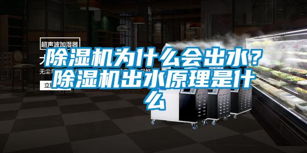 除濕機(jī)為什么會(huì)出水？除濕機(jī)出水原理是什么