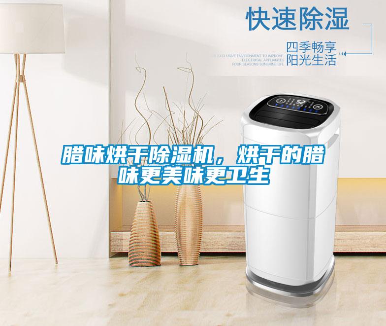 臘味烘干除濕機(jī)，烘干的臘味更美味更衛(wèi)生