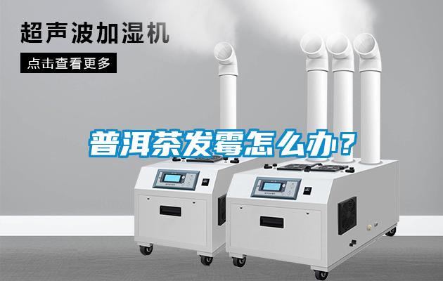 普洱茶發(fā)霉怎么辦？