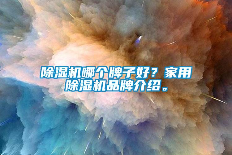 除濕機哪個牌子好？家用除濕機品牌介紹。