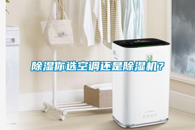 除濕你選空調(diào)還是除濕機？