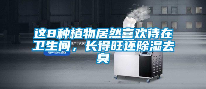 這8種植物居然喜歡待在衛(wèi)生間，長(zhǎng)得旺還除濕去臭