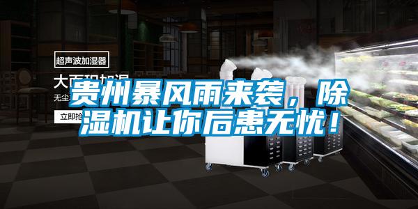 貴州暴風(fēng)雨來襲，除濕機讓你后患無憂！