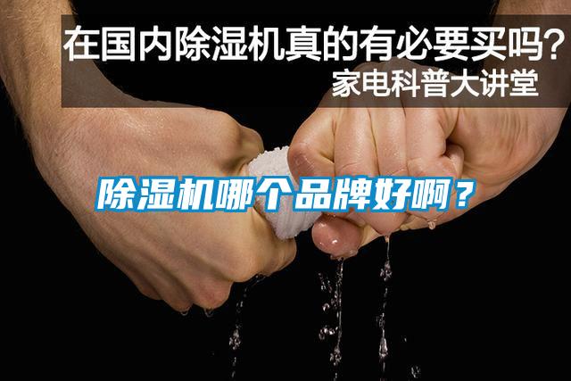 除濕機(jī)哪個(gè)品牌好??？