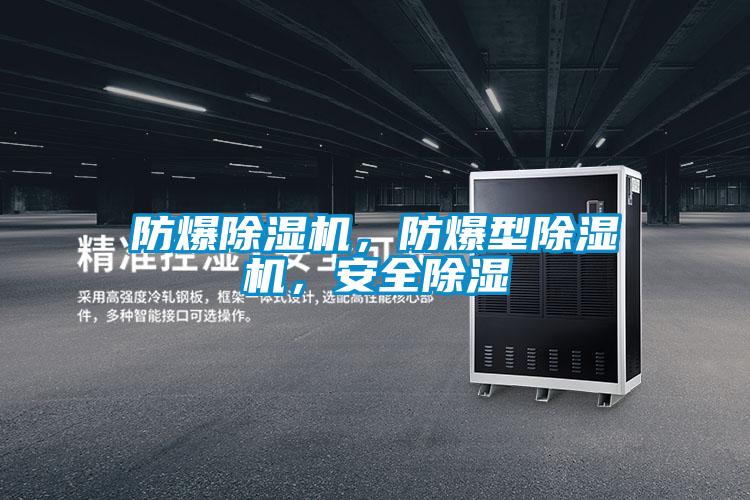 防爆除濕機(jī)，防爆型除濕機(jī)，安全除濕