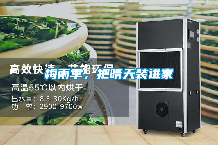 梅雨季，把晴天裝進(jìn)家