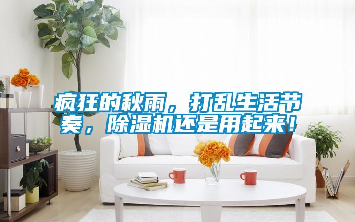 瘋狂的秋雨，打亂生活節(jié)奏，除濕機(jī)還是用起來！