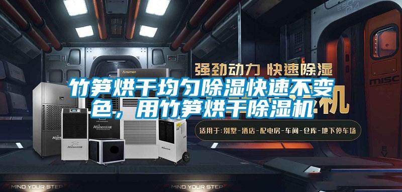 竹筍烘干均勻除濕快速不變色，用竹筍烘干除濕機(jī)