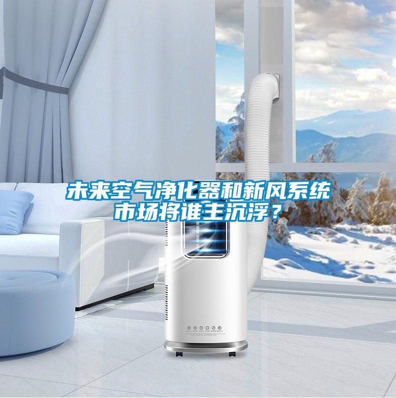 未來空氣凈化器和新風(fēng)系統(tǒng)市場將誰主沉??？