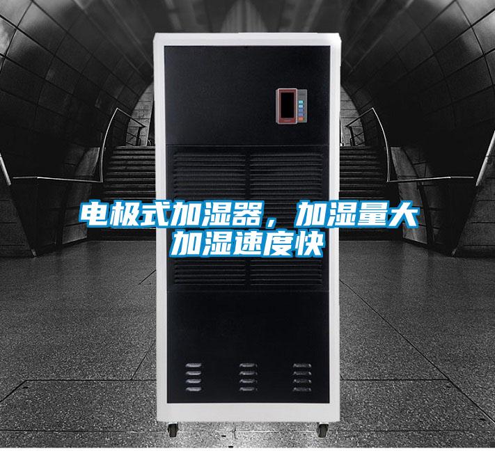 電極式加濕器，加濕量大加濕速度快