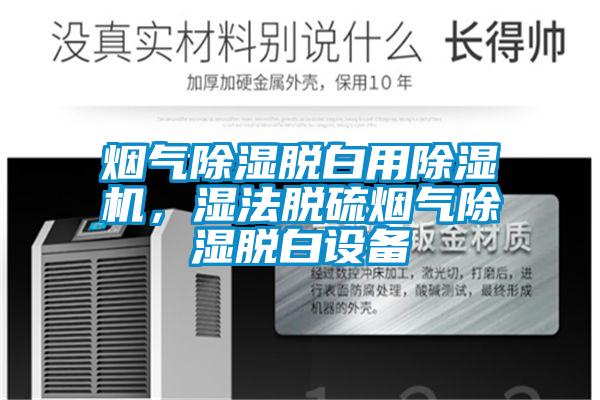 煙氣除濕脫白用除濕機(jī)，濕法脫硫煙氣除濕脫白設(shè)備