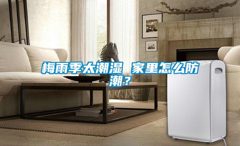 梅雨季太潮濕 家里怎么防潮？