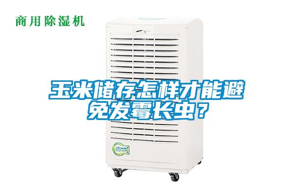 玉米儲(chǔ)存怎樣才能避免發(fā)霉長(zhǎng)蟲(chóng)？